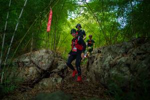 BIB: 
                            <button type="button" onclick="openModal(22089640)" class="btn btn-primary btn-sm float-right btn-popup" data-toggle="modal" data-target=".modal-high-quality">
                        <i class="fas fa-shopping-cart"></i> Add to Cart
                    </button>
                                            <button type="button" onclick="isThisMe(22089640, true)" class="btn btn-success btn-sm float-right btn-popup btn-isme hidden" data-toggle="tooltip" data-placement="bottom" title="นี่คือรูปของคุณใช่ไหม คลิกที่นี่เพื่อเอาเข้าอัลบั้ม">
                        <i class="fas fa-plus"></i> Add to album
                    </button>
                    <button type="button" onclick="isThisMe(22089640, false)" class="btn btn-warning btn-sm float-right btn-popup btn-isnotme hidden">
                        <i class="fas fa-ban"></i> Remove from album
                    </button>